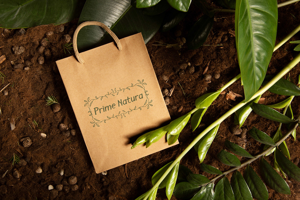 Logo Design | Prime Natura
