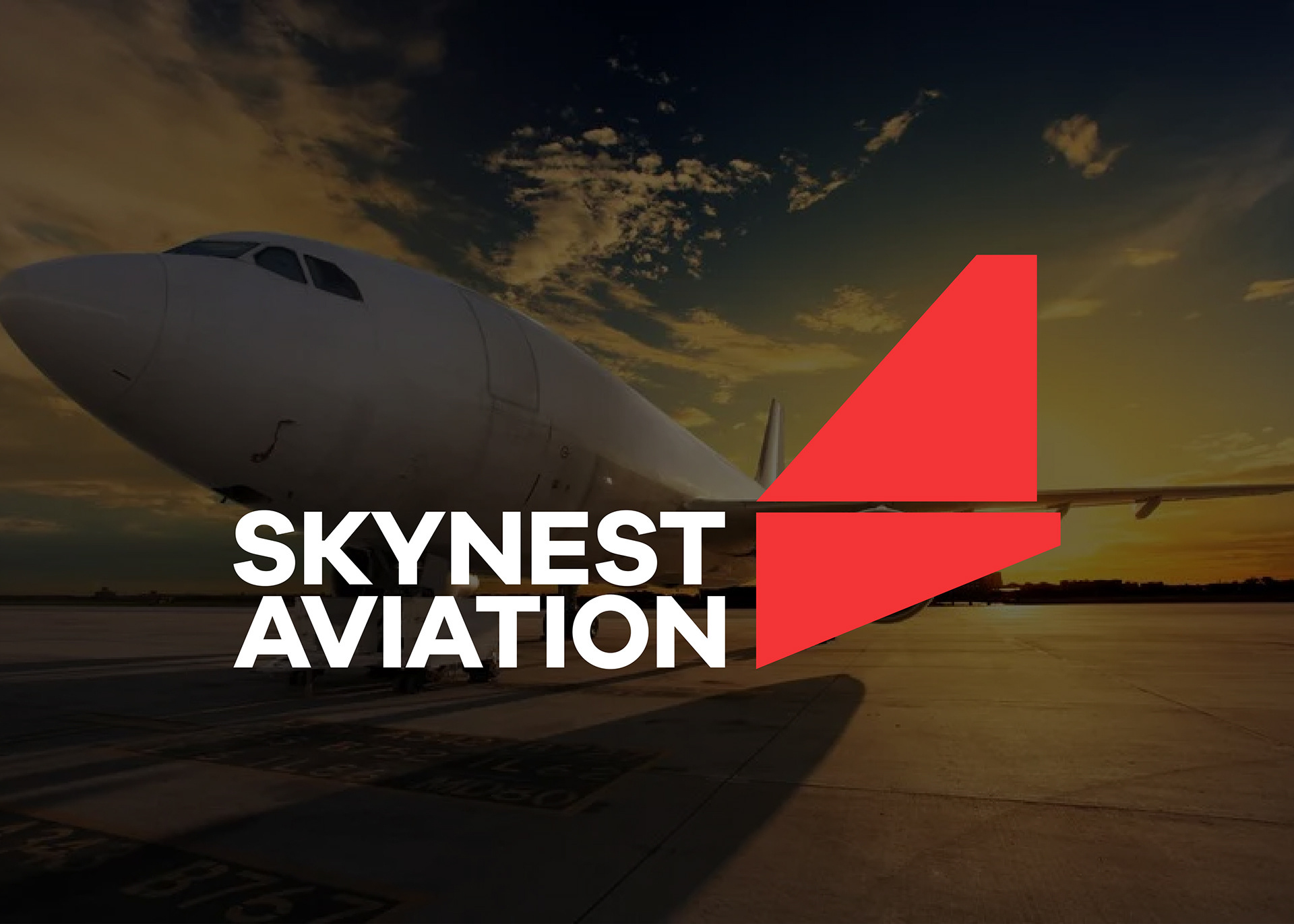 Logo Design | Skynest Aviation